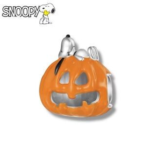Peanuts Snoopy Pumpkin silver Charm